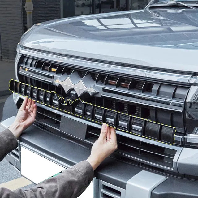 BYD leopard 5 insect net