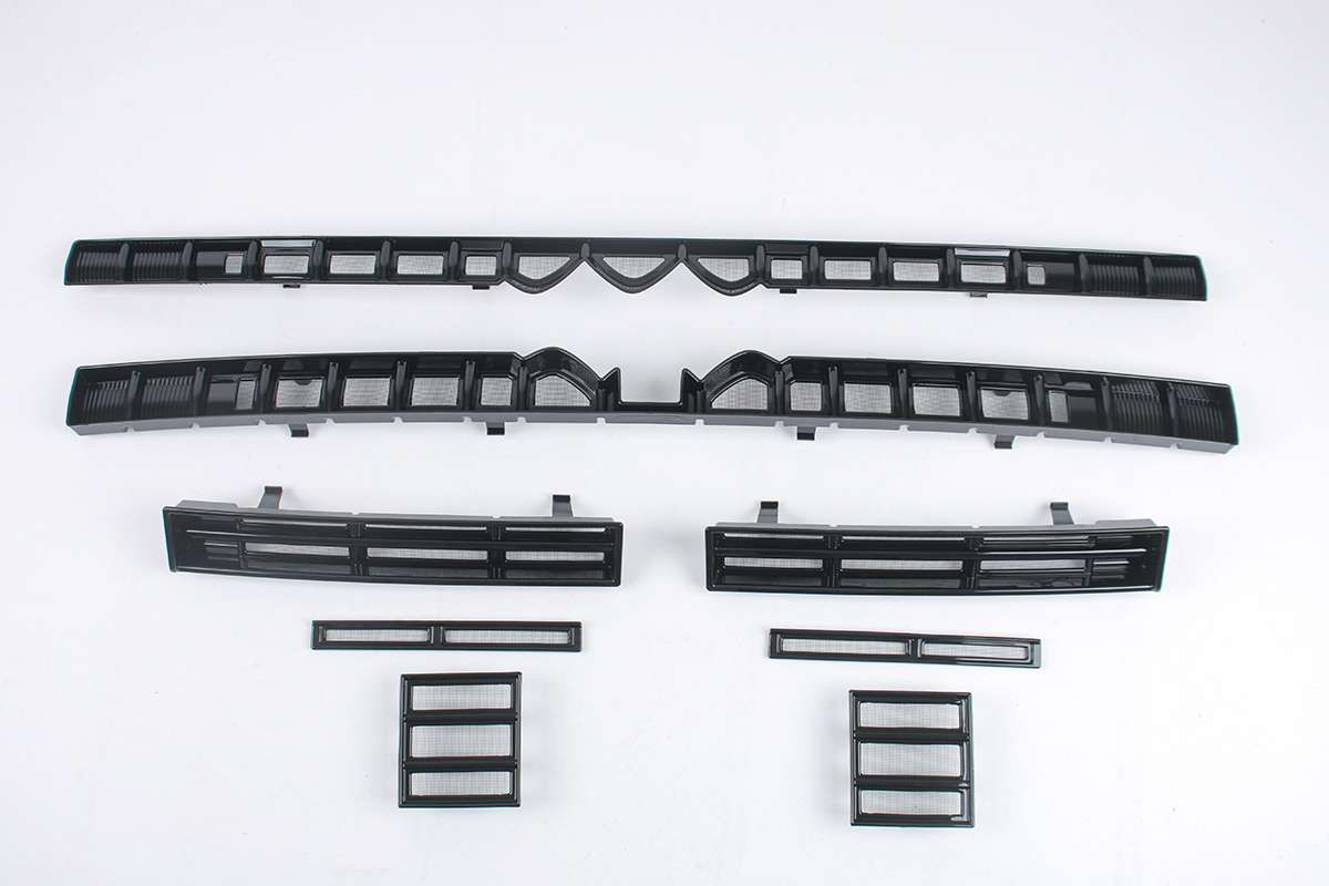 BYD leopard 5 insect net