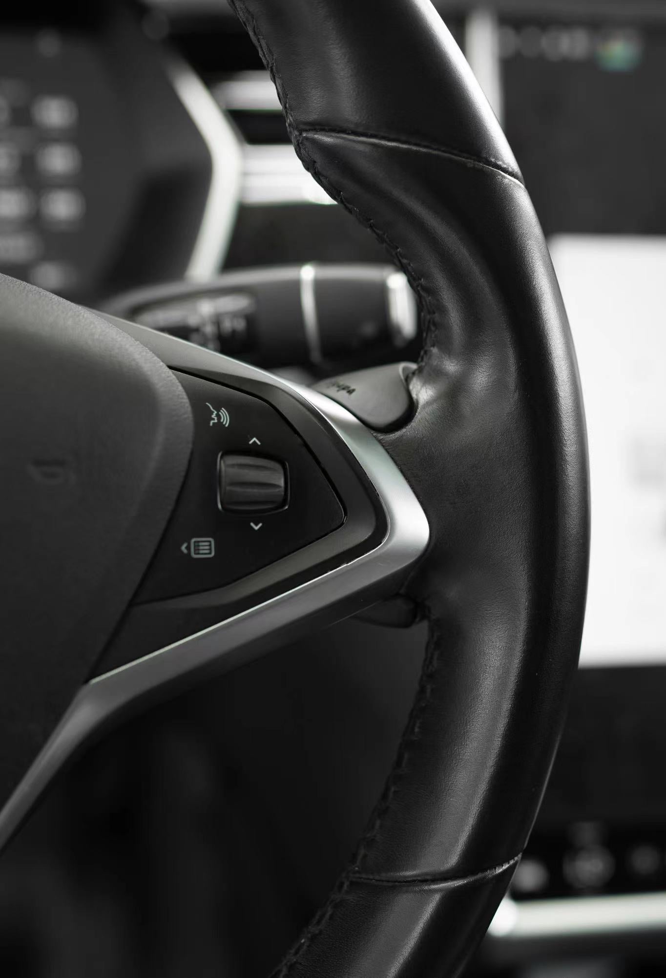 Tesla Ap Papa For Model S & X 2020