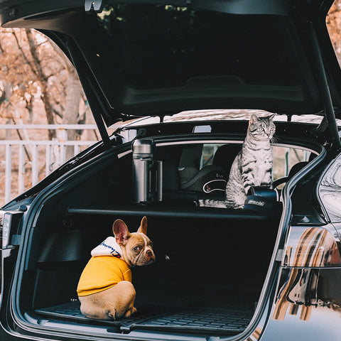 Rear Trunk Cargo Cover Customized For Model Y Till June 2022