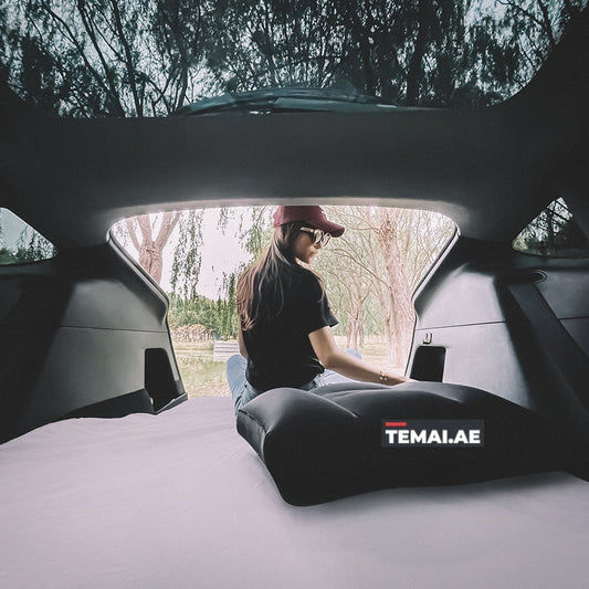 Temai Mattress & Carrying Case For Model Y