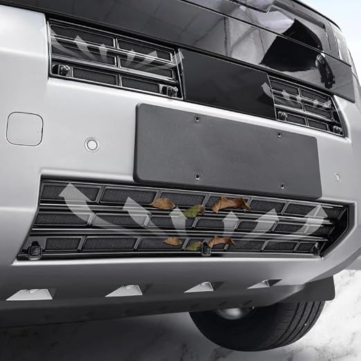 BYD leopard 7 insect net