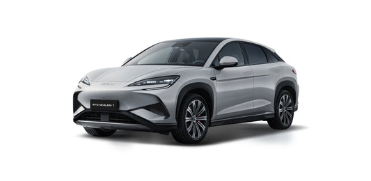 Glass Roof For BYD sealion