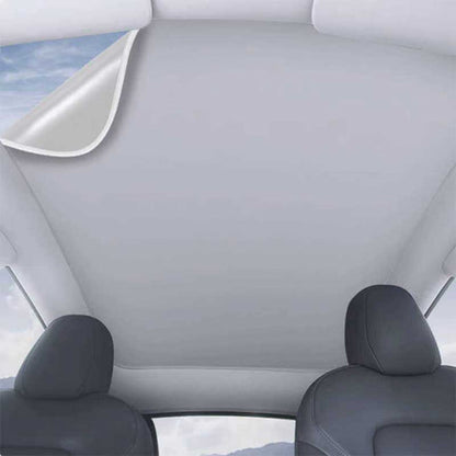 Glass Roof Electrostatic Adhesion Type For Tesla