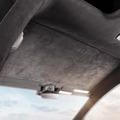 Glass Roof Electrostatic Adhesion Type For Tesla