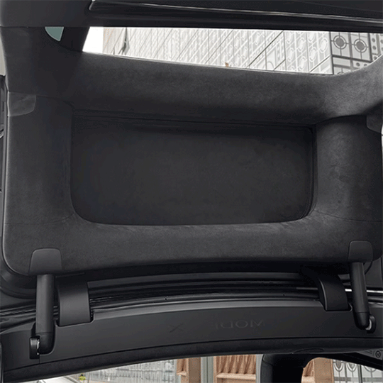 Glass Roof Electrostatic Adhesion Type For Tesla