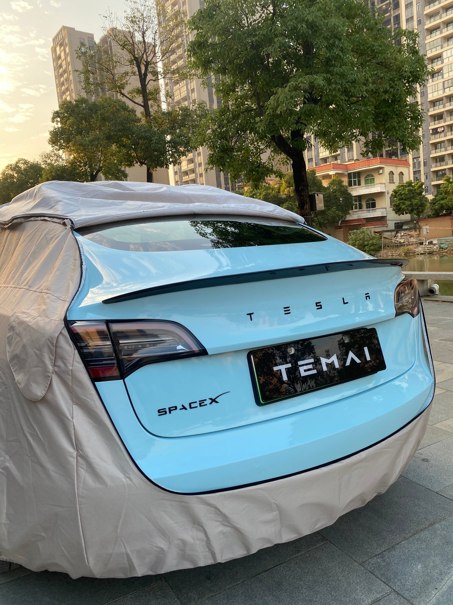 Temai Model 3/Y Cover