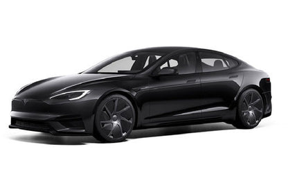 Glass Roof Electrostatic Adhesion Type For Tesla